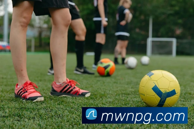 pg模拟器发展历程